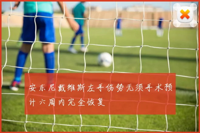 安东尼戴维斯左手伤势无须手术预计六周内完全恢复