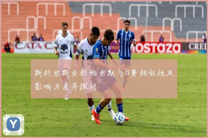 斯科尔斯分析帕尔默与B费相似性及影响力差异探讨